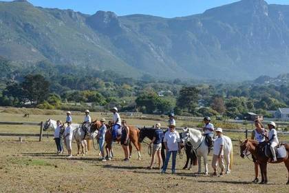 Förderung durch Reisten Südafrika
