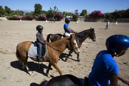 Therapy Horse Cape Town VOlunteer