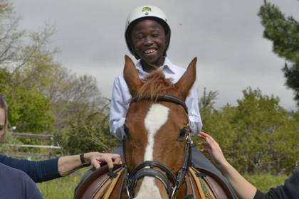 Therapy Horse Cape Town