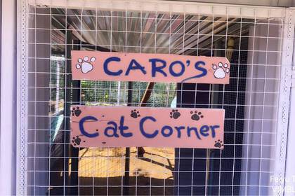 Cat Corner in the animal shelter on Crete