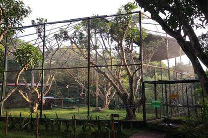 Eines der Gehege in der Auffangstation in Costa Rica