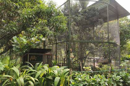 The monkeys' enclosure in the animal sanctuary