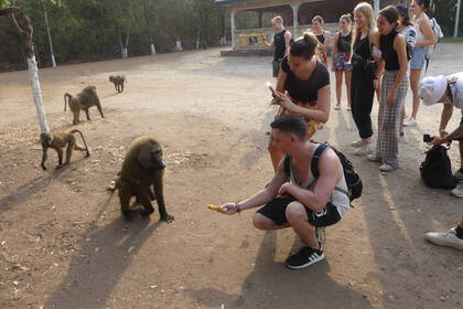 Triff verschiedene Tiere bei der Tagestour