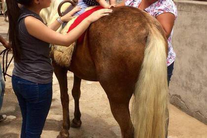 Equestrian therapy for children