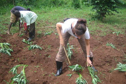 Ökologische Landwirtschaft in Uganda