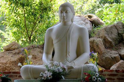 Freiwilligenarbeit im Kloster in Sri Lanka 