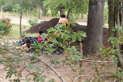 Naturprojekt in Tansania