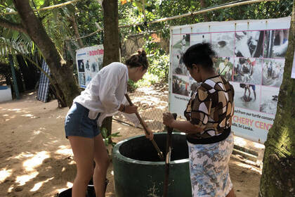 Freiwillige bei der Arbeit auf Sri Lanka