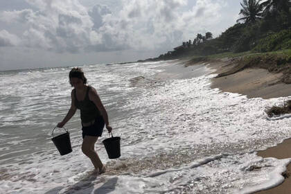 Volunteer scooping sea water