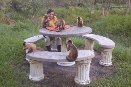 Volunteer bei der Arbeit