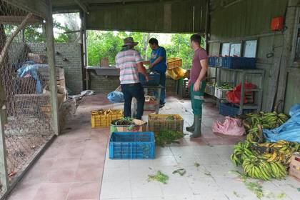Preparation of animal feed