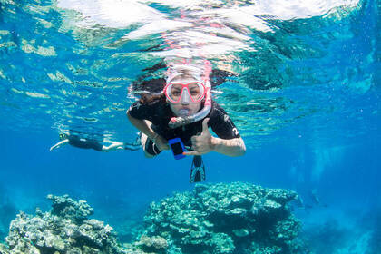 Dive down and discover the underwater world