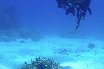 Ein Volunteer bei der Arbeit