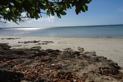 Der Strand lädt zum Entspannen ein