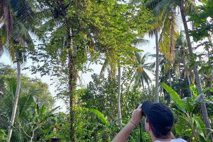 Volunteer beim Vögel beobachten auf Nusa Penida