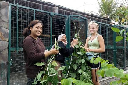 Volunteers im Tierschutz Projekt