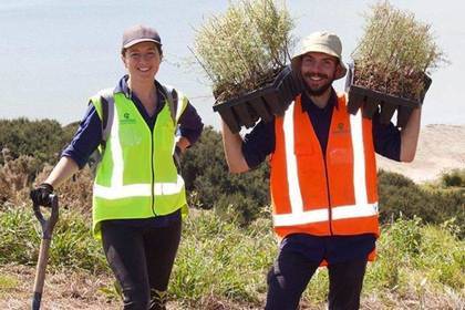 Fleißige Volunteers in Auckland