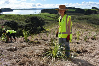 Arbeiten in der wundervollen Natur Neuseelands