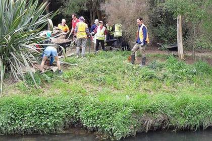 Volunteers are diligently involved in the environmental protection project