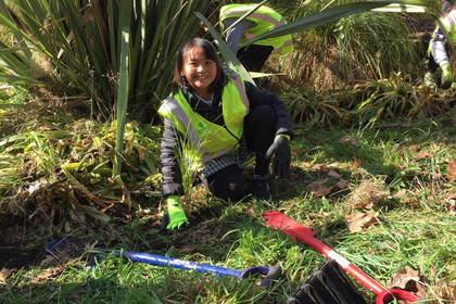 Die Volunteers engagieren sich fleißig im Umweltschutz in Christchurch