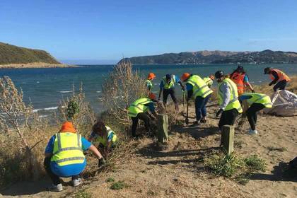 Volunteering im Teamwork