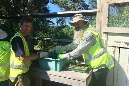 Bei der Gartenarbeit in Wellington
