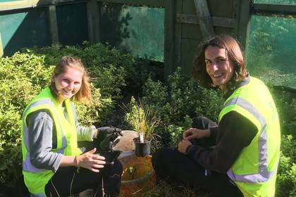 Volunteers bei der Gartenarbeit