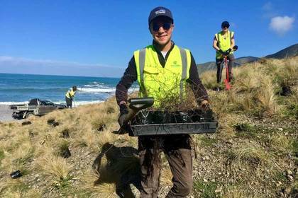 Die Volunteers packen kräftig mit an