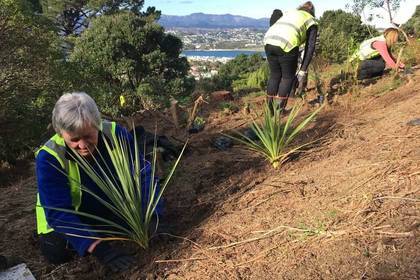 Volunteer beim Pflanzen