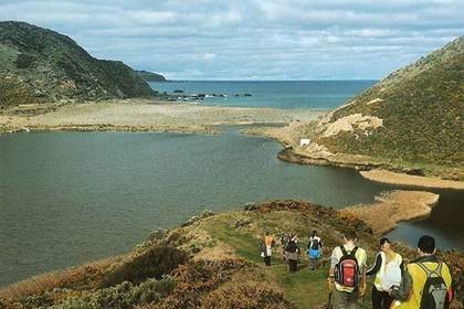 Volunteering in der einzigartigen Umgebung Neuseelands