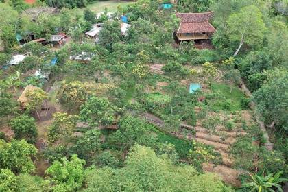 Der Garten aus Vogelperspektive