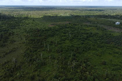 Naturschutzgebiet in Kalimantan von oben