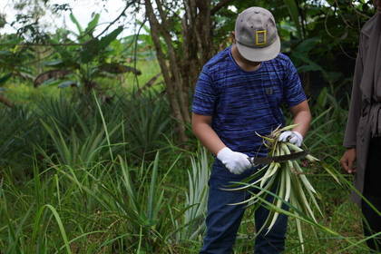 Naturschutz in Kalimantan