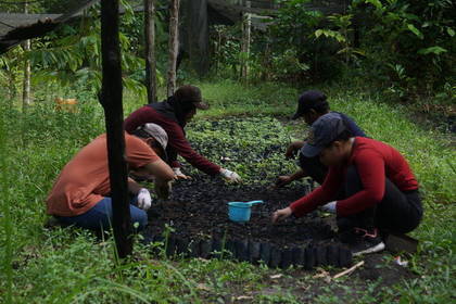 Volunteers bei der Gartenarbeit auf Borneo