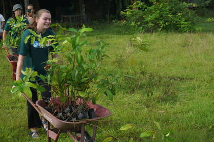 Bäume pflanzen in Kalimantan