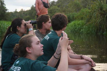 Mit dem Boot auf Beobachtungstour