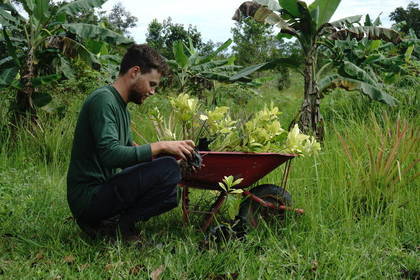 Bäume pflanzen im Naturschutz Projekt