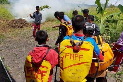 Auf Borneo gibt es häufig Waldbrände