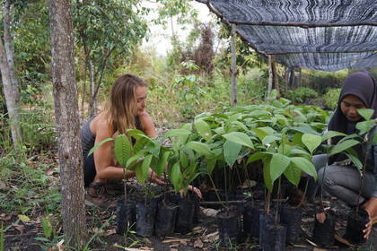 Volunteers bei der Gartenarbeit