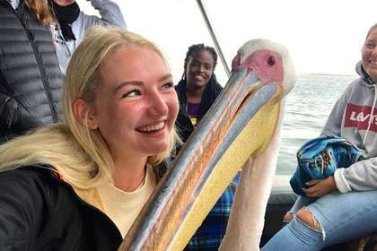Participant with pelican