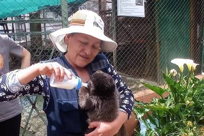 Arbeit im Tierschutz Projekt