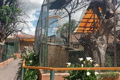 Tierauffangstation in Cusco