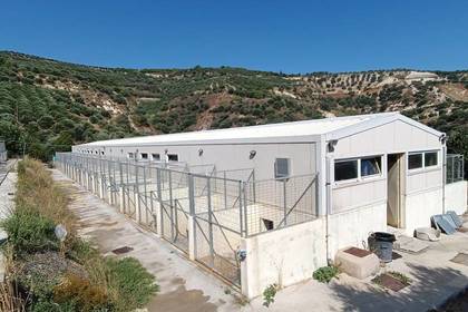 Dog shelters in Crete