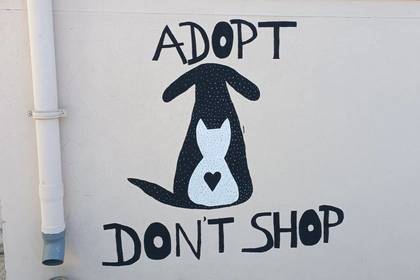 Unser Hundeprojekt auf Kreta