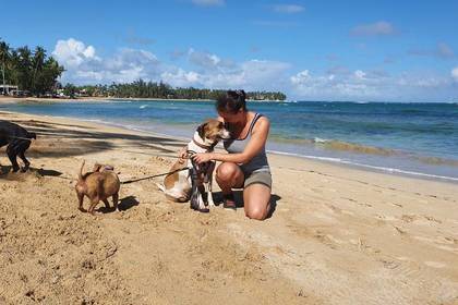 Auch gemeinsame Strandspaziergänge gehören zu deinen Aufgaben