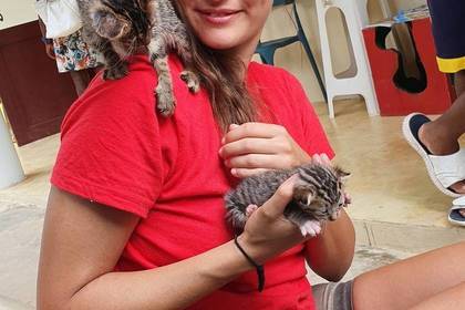 Volunteering im Tierheim