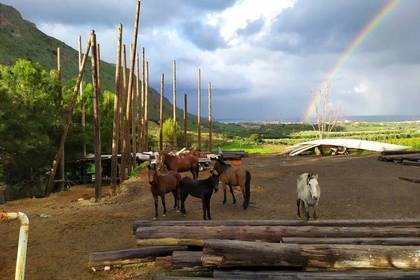 Die Pferdefarm im Umbau