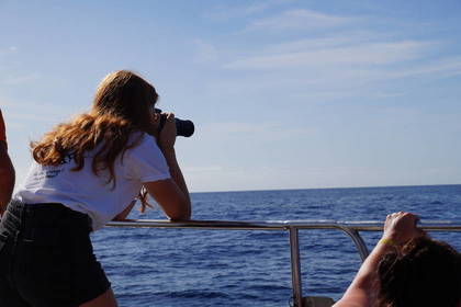 Volunteer beim Beobachten von Walen und Delfinen