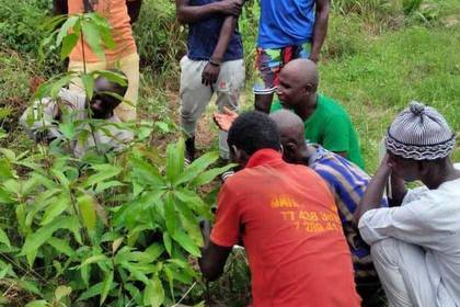 Die Menschen interessieren sich für die Methode der ökologischen Farmarbeit