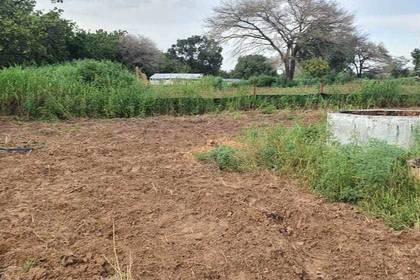 Project location: Farm in Senegal
